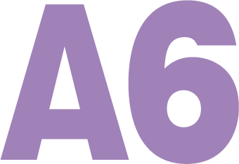 A6