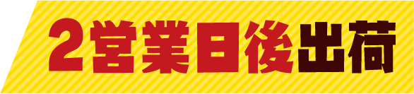 2営業日後出荷